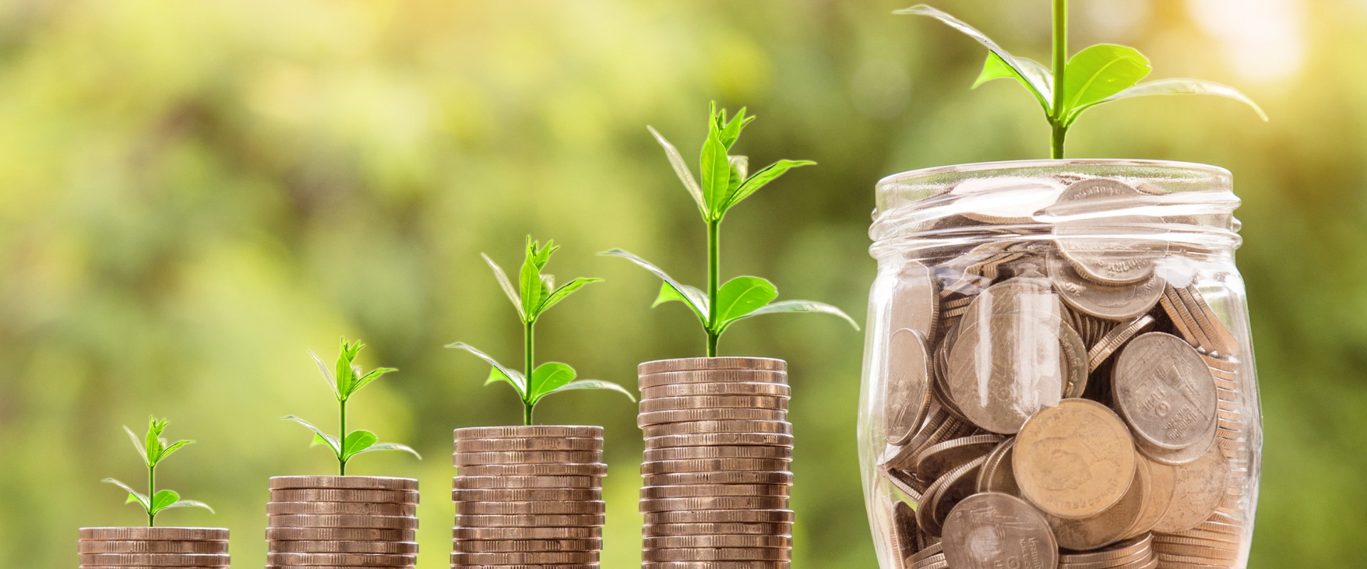 What is Investing? A Complete Guide to the Investing Sector