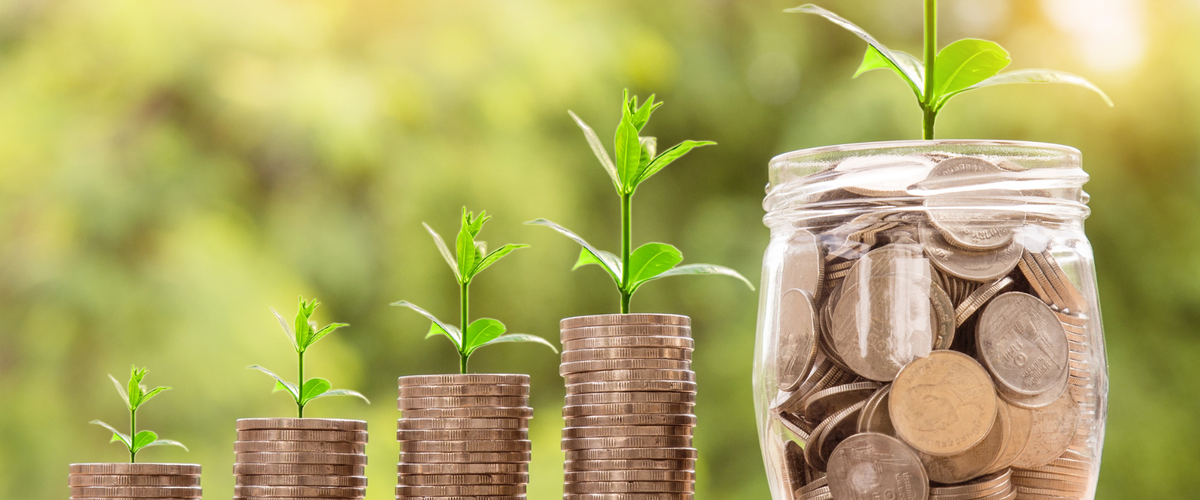What is Investing? A Complete Guide to the Investing Sector
